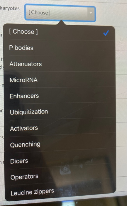 karyotes [Choose] [Choose ] P bodies t Attenuators gls MicroRNA Enhancers or Ubiquitization Activators TS Quenching 7 Dicers