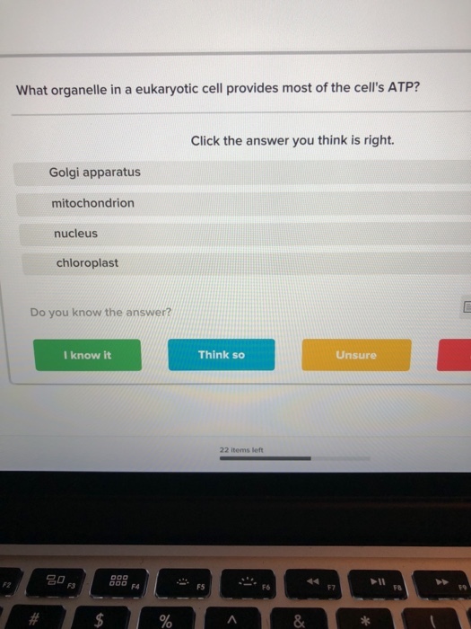What organelle in a eukaryotic cell provides most of the cells ATP? Click the answer you think is right. Golgi apparatus mitochondrion nucleus chloroplast Do you know the answer? I know it Think so Unsure 22 items left ?0 F3 F4 FS F6 F7 F8