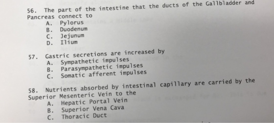 56. The part of the intestine that the ducts of the Gallbladder and Pancreas connect to A. Pylorus B. Duodenum C. Jejunum D. Ilium 57. Gastric secretions are increased by A. Sympathetic impulses B. Parasympathetic impulses C. Somatic afferent impulses 58. Nutrients absorbed by intestinal capillary are carried by the Superior Mesenteric Vein to the A. Hepatic Portal Vein B. Superior Vena Cava C. Thoracic Duct