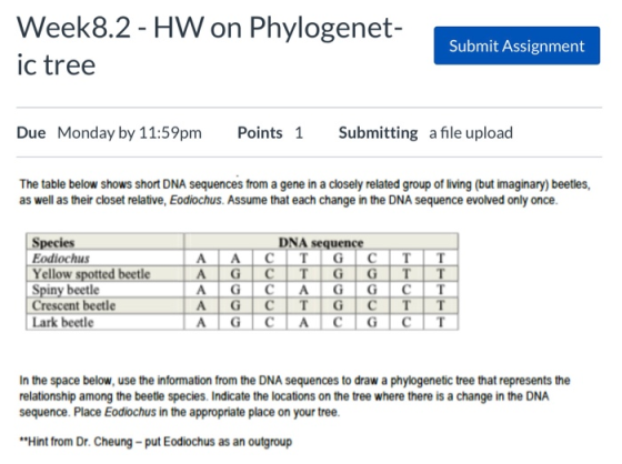 Week8.2 - HW on Phylogenet- ic tree Submit Assignment Due Monday by 11:59pm Points 1 Submitting a file upload The table below