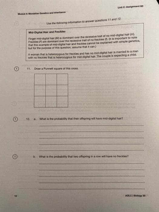 Unit : Assignment Module Mendalian Genetics and Inheritance Use the following information to answer questions 11 and 12 Mid-D