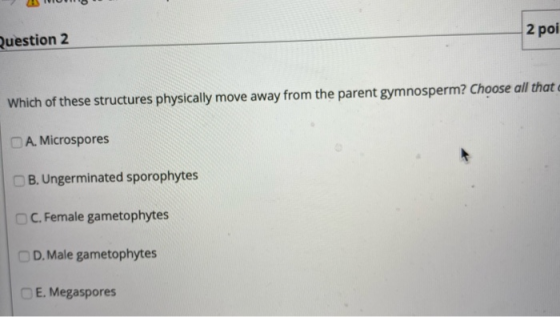 question 2 2 po Which of these structures physically move away from the parent gymnosperm? Choose all that A. Microspores B.