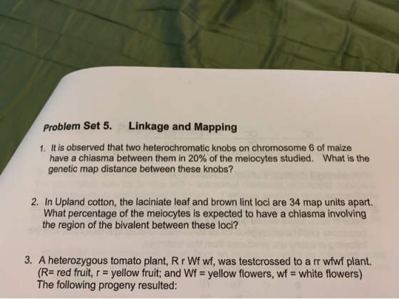 Problem Set 5. Linkage and Mapping 1. It is observed that two heterochromatic knobs on chromosome 6 of maize have a chiasma b