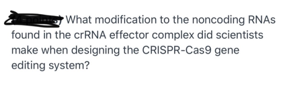 & What modification to the noncoding RNAs found in the crRNA effector complex did scientists make when designing the CRISPR-C