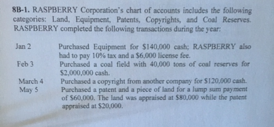 8B-1. RASPBERRY Corporations chart of accounts includes the following categories: Land, Equipment, Patents. Copyrights, and