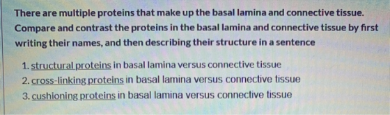 There are multiple proteins that make up the basal lamina and connective tissue. Compare and contrast the proteins in the bas