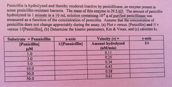 Penicillin is hydrolyzed and thereby rendered inactive by penicillinase, an enzyme present in some penicillin-resistant bacte
