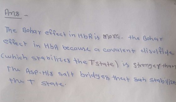 Ans - The Bohar effect in HbR is more the Bohar effect in HbA because a covalent disulfide (which stabilizes the T state) is