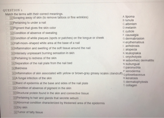 QUESTION 1 Match the terms with their correct meanings. A lipoma B.lunula c.albinism D.melanin E cuticle F. causalgia G.dermabrasion H erythematous I anhidrosis J. alopecia K leukoplakia L onycholysis M seborrheic dermatitis N subungual oparonychia P xeroderma 回scraping away of skin (to remove tattoos or fine wrinkles) Pertaining to under a nail Pigment that gives the skin color Condition of absence of sweating EE)condition of white plaques (spots or patches) on the tongue or cheek TV Half-moon-shaped white area at the base of a nail Inflammation and swelling of the soft tissue around the nail Intensely unpleasant burning sensation in skin Pertaining to redness of the skin Separation of the nail plate from the nail bed Baldness infammation of skin associated with yelow or brown-gray greasy scales (dandrut) a poeceous A fungal infection of the skin R keratosis s dermatophytosis T Collagen Band of epidermis at the base and sides of the nail plate Condition of absence of pigment in the skin 回structural protein found in the skin and connective tissue Pertaining to hair and glands that secrete sebum Abnormal condition characterized by thickened area of the epidermis Dry skin Tumor of fatty tissue