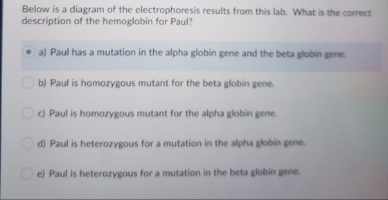 Below is a diagram of the electrophoresis results from this lab. What is the correct description of the hemoglobin for Paul?