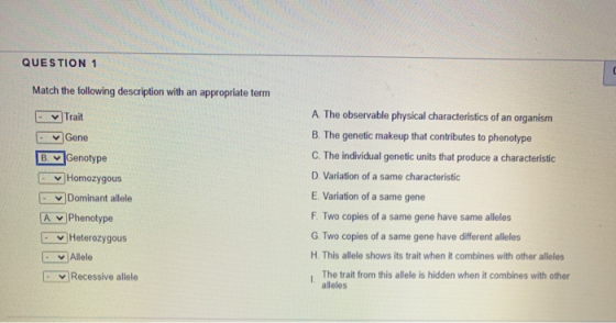 QUESTION 1 Match the following description with an appropriate term Trait ✓ Gene v B. Genotype Homozygous Dominant allele A P