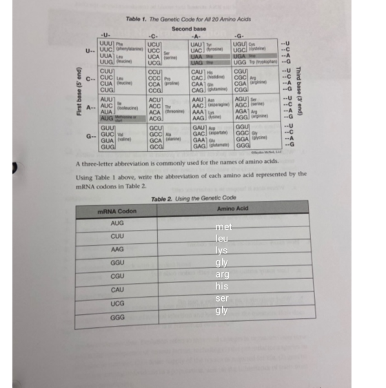 YA CCU CAUT HIS CUC First base (5 end) Table 1. The Genetic Code for A 20 Amino Acids Second base -U- -A- UUU Phe UCU UAU] T
