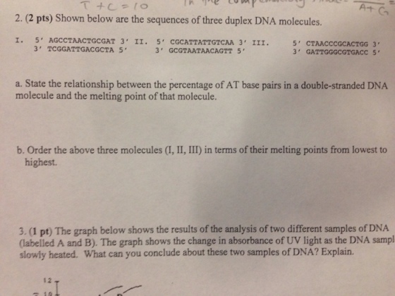 Shown below are the sequences of three duplex DNA