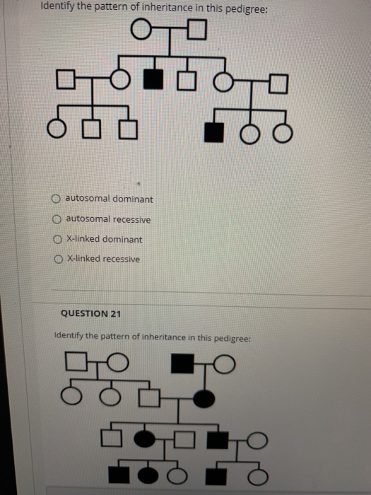 Identify the pattern of inheritance in this pedigree: OTO IDO O autosomal dominant O autosomal recessive X-linked dominant O