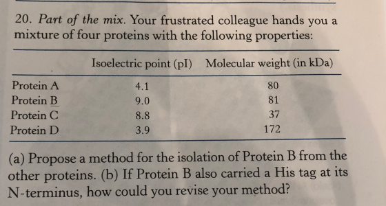 20. Part of the mix. Your frustrated colleague hands you a mixture of four proteins with the following properties: Protein A Protein B Protein C Protein D isoelectric point (pl) 4.1 9.0 8.8 3.9 Molecular weight (in kDa) 80 81 37 172 (a) Propose a method for the isolation of Protein B from the other proteins. (b) If Protein B also carried a His tag at its N-terminus, how could you revise your method?