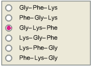 | Gly-Phe-Lys
Phe-Gly-Lys
Gly-Lys-Phe
| Lys-Gly-Phe
Lys-PheGly
10 Phe-Lys-Gly
