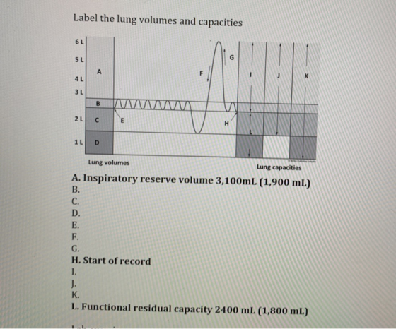 Label the lung volumes and capacities 6 L 5 L A F K 4 L 3 L B 2 L C H 1L D Lung volumes Lung capacities A. Inspiratory reserv
