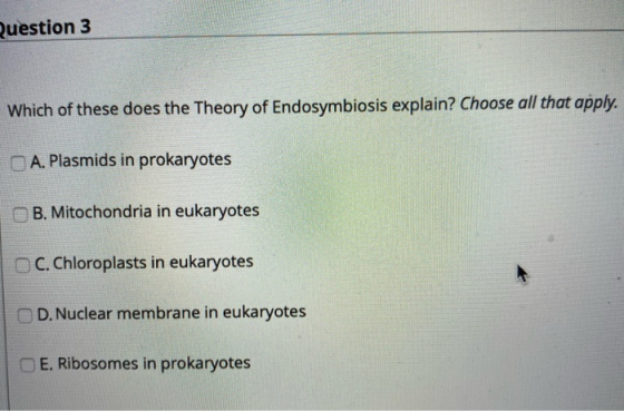 question 3 Which of these does the Theory of Endosymbiosis explain? Choose all that apply. A. Plasmids in prokaryotes B. Mito