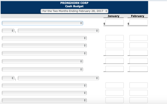 PRONGHORN CORP Cash Budget For the Two Months Ending February 28, 2017 A January February $ $