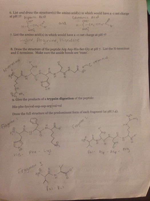 List and draw the structure(s) the amino acid(s) i