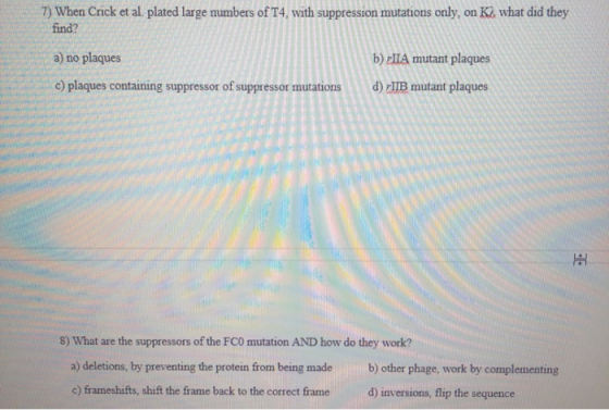 7) When Crick et al. plated large numbers of T4, with suppression mutations only, on K2 what did they find? a) no plaques b)