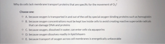 Why do cells lack membrane transport proteins that are specific for the movement of Oz? Choose one: A. because oxygen is tran