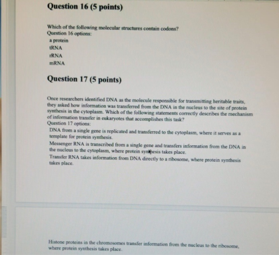 Question 16 (5 points) Which of the following molecular structures contain codons? Question 16 options: a protein tRNA rRNA m