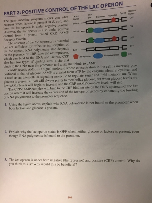 The gene machine program shows you what happens wh