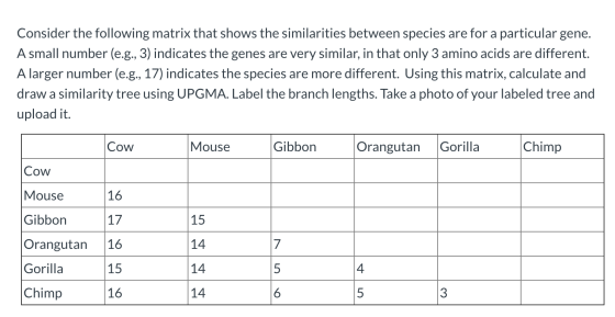 Consider the following matrix that shows the similarities between species are for a particular gene. A small number (e.g., 3)