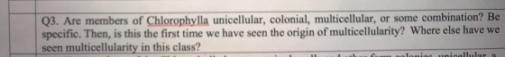 Q3. Are members of Chlorophylla unicellular, colonial, multicellular, or some combination? Be specific. Then, is this the fir