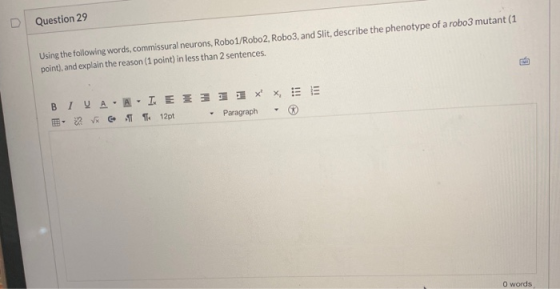 Question 29 Using the following words, commissural neurons, Robo1/Robo2, Robo3, and Slit, describe the phenotype of a robo3 m