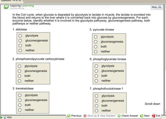 In the Cori cycle, when glucose is degraded by gly