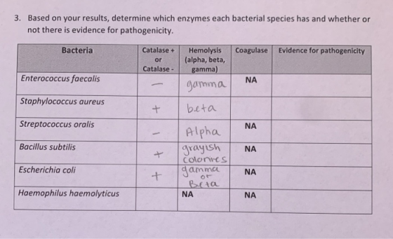 3. Based on your results, determine which enzymes each bacterial species has and whether or not there is evidence for pathoge
