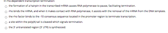 In rho-dependent transcription termination: the formation of a hairpin in the transcribed mRNA causes RNA polymerase to pause