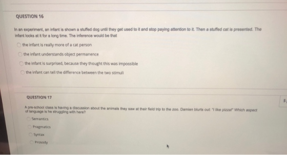 QUESTION 16 In an experiment, an infant is shown a stuffed dog until they get used to it and stop paying attention to it. The