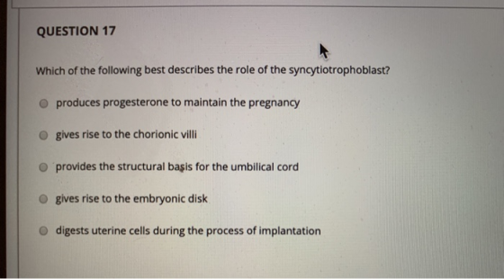 QUESTION 17 Which of the following best describes the role of the syncytiotrophoblast? produces progesterone to maintain the