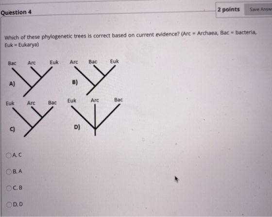 Question 4 2 points Save Ansv Which of these phylogenetic trees is correct based on current evidence? (Arc = Archaea, Bac = b