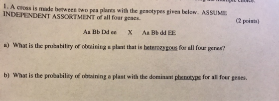 по пре сосе. 1. A cross is made between two pea plants with the genotypes given below. ASSUME INDEPENDENT ASSORTMENT of all f