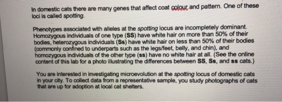 In domestic cats there are many genes that affect coat colour and pattern. One of these loci is called spotting. Phenotypes a