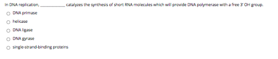 In DNA replication catalyzes the synthesis of short RNA molecules which will provide DNA polymerase with a free 3 OH group.
