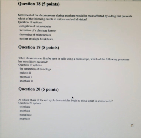 Question 18 (5 points) Movement of the chromosomes during anaphase would be most affected by a drug that prevents which of th