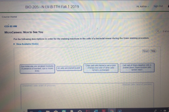 BIO 205 - NLV-B-TTH Fall 1 2019 Hi, kathia Sign Out Course Home <Ch 03 HW MicroCareers: Nice to See You ( 2014 Put the follow