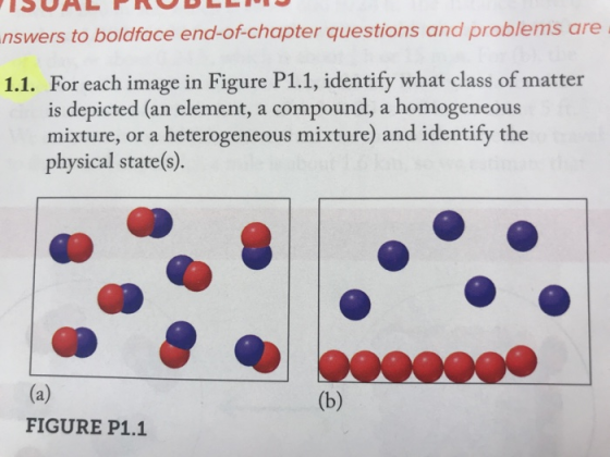 ISUAL PRODLL nswers to boldface end-of-chapter questions and problems are 1.1. For each image in Figure P1.1, identify what c