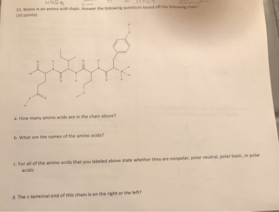 HNO3 33. Below is an amino acid chain. Answer the following questions based off the following chain (30 points) a. How many a
