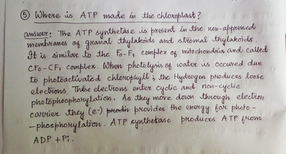 ??here us AT P made the chloor last? ombloR: TWve ATP synthetase vis present in the non-appressed ananal, thi/lakolds and 6?omal thylakoids 3t is similan o the fo-F, cmplez es vwitochondria and called CFo-CF, complex. tWhen photolysis o water us occwred due to photoactivated chioNophyl the Hydrogen produces loose ele cronó, Thèse eledttons enter cydic and non-cyclie photophosphoruylation. As sthay move doron through eteclion corvier they (e-) -phosphorylation. ATPsy pHoduces ATP Hom ADP +P ns enter cycie nou-Hclie ?tediv tuuldes the ener74 60k photo- nthesas e