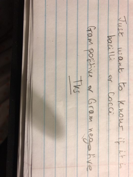 Just want bacilli to know or Cocce is Gram positive of Gram negative TES