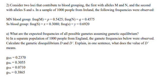 2) Consider two loci that contribute to blood grouping, the first with alleles M and N, and the second with alleles S and s. In a sample of 1000 people from Ireland, the following frequencies were observed: MN blood group: freq(M 0.5425; freq(N) 0.4575 Ss blood group: freq(S) 0.3080; freq(s)-y 0.6920 a) What are the expected frequencies of all possible gametes assuming gametic equilibrium? Calculate the gametic disequilibrium D and D. Explain, in one sentence, what does the value of D b) In a separate population of 1000 people from England, the gamete frequencies below were observed. means. gMs 0.2370 gMs 0.3055 gNS 0.0710 gNs 0.3865