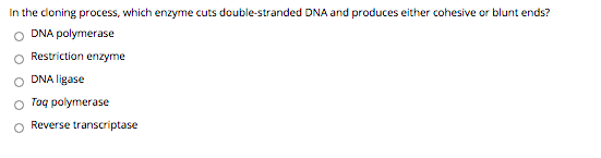 In the cloning process, which enzyme cuts double-stranded DNA and produces either cohesive or blunt ends? ODNA polymerase Res