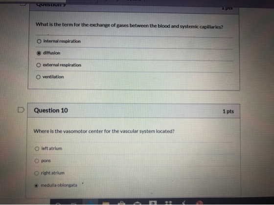 Question PLS What is the term for the exchange of gases between the blood and systemic capillaries? O internal respiration o