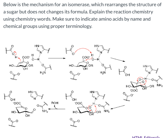 Below is the mechanism for an isomerase, which rearranges the structure of a sugar but does not changes its formula. Explain